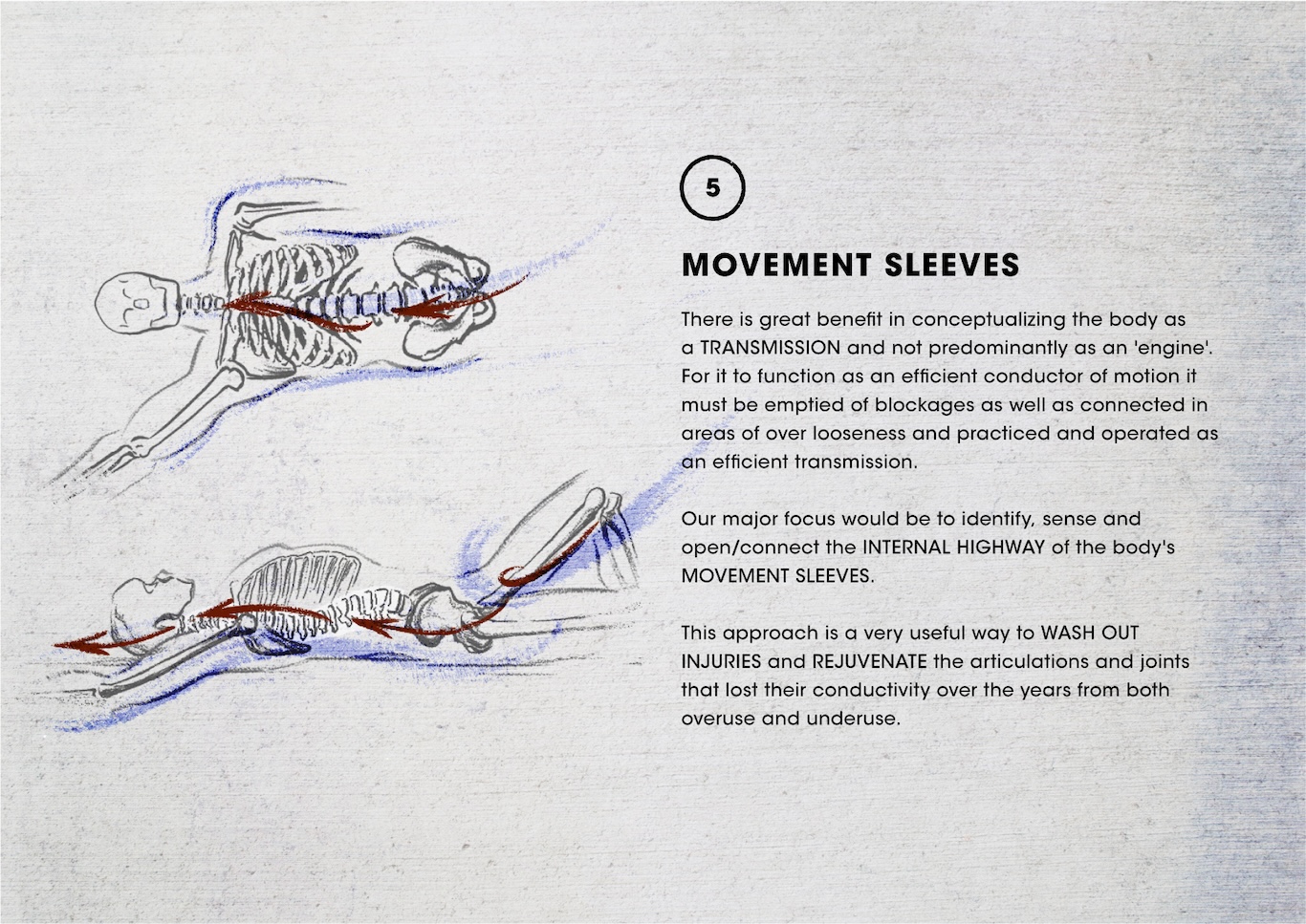 Movement sleeves